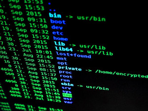 綠色信息科技的嶄新篇章 自然電子產(chǎn)品中的集成板處理器特寫(xiě)