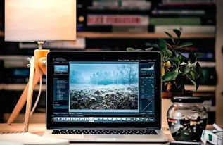 編程熱潮持續(xù) QS預(yù)測(cè)2020年計(jì)算機(jī)編程仍為前景最佳行業(yè)