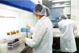 完美構(gòu)筑嚴(yán)謹?shù)漠a(chǎn)品售后質(zhì)量管理體系在互聯(lián)網(wǎng)銷售中的應(yīng)用