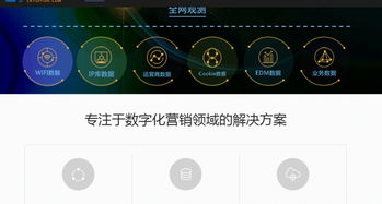 專業(yè)互聯(lián)網(wǎng)營銷服務(wù) 定制方案與多樣化產(chǎn)品助力業(yè)務(wù)增長